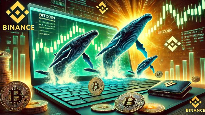 Bitcoin Price Explosion Fueled By Binance Whales: Data Bitcoin Whales