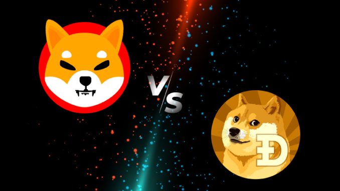 Is Shiba Inu Dead Or Is There Still Hope To SHIB Picture of Dogecoin (Doge) versus a Shiba Inu (SHIB)