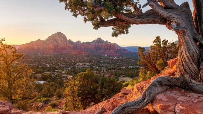 Arizona Governor Vetoes Two Crypto Bills, Signs One Targeting ATM Fraud