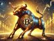 Bitcoin bull run