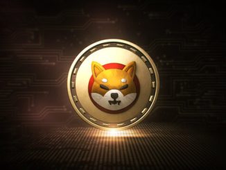Shiba Inu