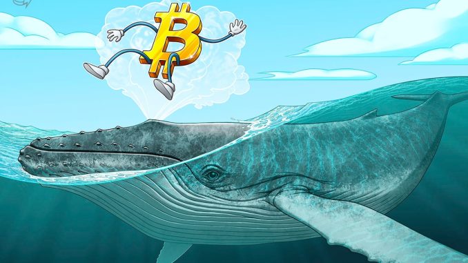 Bitcoin leveraged long momentum sees BTC price reach $106,500 and liquidate late shorts.