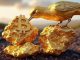 Gold miner Bluebird to convert gold revenues into Bitcoin reserve, stock jumps 63% intraday