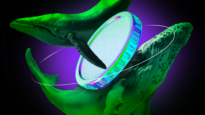How Crypto Whales Reacted to Market Decline Crypto Whales See Major Wins and Losses as Israel-Iran Tensions Shake the Market