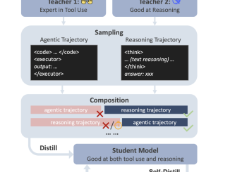 DualDistill and Agentic-R1: How AI Combines Natural Language and Tool Use for Superior Math Problem Solving