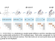 SYNCOGEN: A Machine Learning Framework for Synthesizable 3D Molecular Generation Through Joint Graph and Coordinate Modeling