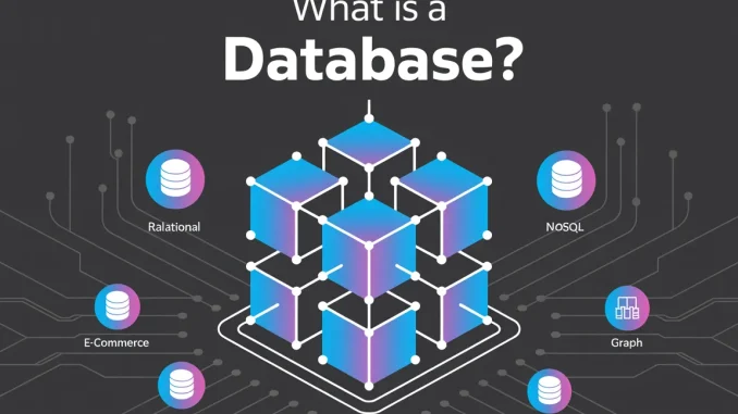 What is a Database? Modern Database Types, Examples, and Applications (2025)