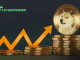 FuturoMining Expands Cloud Mining Options for Dogecoin Users in 2025