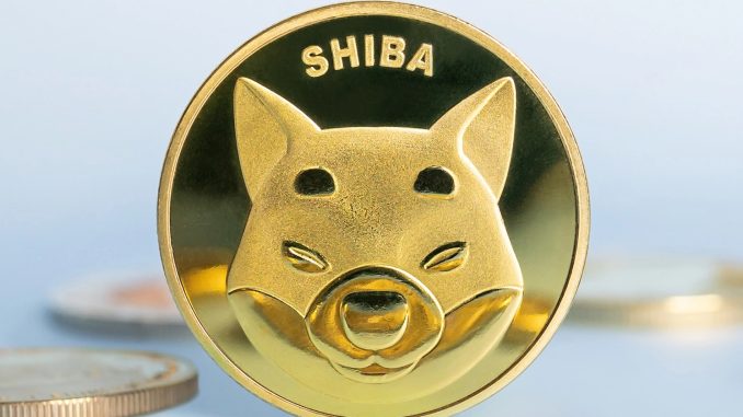 Shiba Inu price forecast: bulls eye breakout after deep accumulation Shiba Inu forecast as bulls eye breakout after deep accumulation