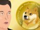 DOGE Price Prediction: Targeting $0.21-$0.23 Range as Technical Indicators Signal Bullish Momentum Building
