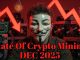 Rough Times Are Here :( - Dec 2025 Crypto Mining Profits