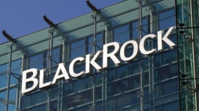 Tokenization may be quietly entering its pre-boom internet phase: BlackRock CEO