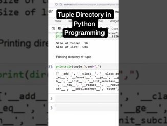 Tuple Directory Trick Every Python Beginner Should Know #python #ai
