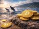 Bitcoin's path to $100k ignites as institutions fortify positions