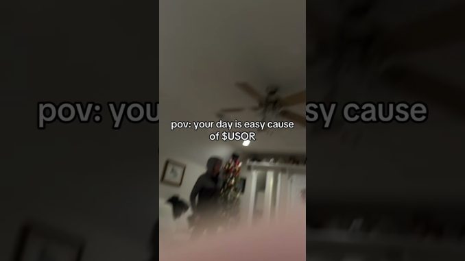 $USOR #crypto #memecoin #cryptocurrency #cryptonews #solana #memecoins